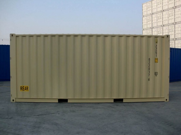 New-20ft-DD-(Double-Doors)-tan-RAL-1001-shipping-container-2969